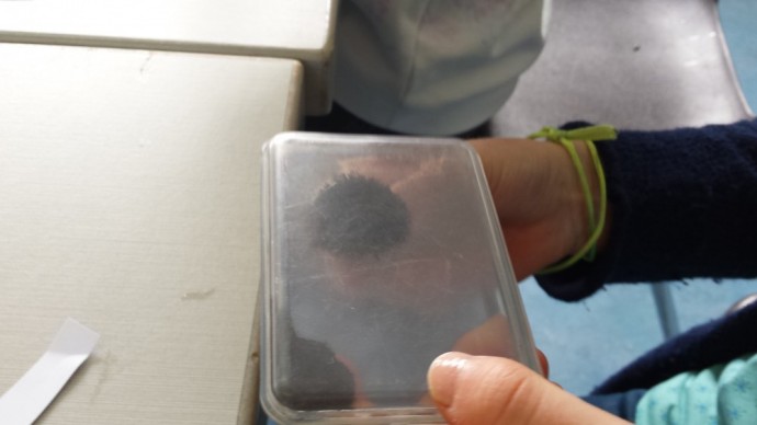 Het magnetisch veld zichtbaar maken